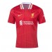 Liverpool Alexander-Arnold #66 Heimtrikot 2024-25 Kurzarm